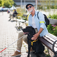 Ein Mann sitzt auf einer Parkbank aus Holz am Gehwegrand. Der Mann hat eine Sonnenbrille auf und hält einen Blindenstock in der Hand. Vor ihm sitzt ein schwarzer Hund. Der Mann guckt nach oben.