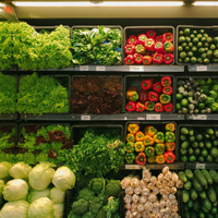 Das Bild zeigt eine gut sortierte Gemüseabteilung in einem Supermarkt. Verschiedene Arten von frischem Gemüse sind in Regalen ordentlich angeordnet. Oben links befinden sich grüne Salatköpfe und daneben verschiedene Kräuter. In der Mitte des Bildes sind rote, grüne und gelbe Paprikaschoten zu sehen, die in separaten Fächern liegen. Rechts davon sind Zucchini und gelbe Kürbisse platziert. Unten links sind Kohlköpfe gestapelt, während in der Mitte Gurken und rechts Auberginen zu sehen sind. Die Farben des Gemüses verleihen dem Bild ein lebendiges und frisches Aussehen.