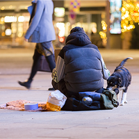 Eine Person sitzt auf dem Boden in einer Einkaufspassage. Um die Person liegen seine Sachen. Ein Hund steht rechts neben der Person. Links ist eine Decke und ein Futternapf. Im Hintergrund läuft eine gut gekleidete Person von rechts nach links.