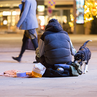 Eine Person sitzt auf dem Boden in einer Einkaufspassage. Um die Person liegen seine Sachen. Ein Hund steht rechts neben der Person. Links ist eine Decke und ein Futternapf. Im Hintergrund läuft eine gut gekleidete Person von rechts nach links.