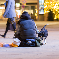 Eine Person sitzt auf dem Boden in einer Einkaufspassage. Um die Person liegen seine Sachen. Ein Hund steht rechts neben der Person. Links ist eine Decke und ein Futternapf. Im Hintergrund läuft eine gut gekleidete Person von rechts nach links.