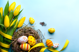 Auf einem hellblauen Hintergrund ist Osterdekoration zu sehen. Links unten in der Ecke sind gelbe Tulpen, ein kleines Vogelnest mit bemalten Eier in gelb, orange und weiß. Rechts oben in der Ecke sind gelbe Tulpen und bemalte Eier in gelb, orange und weiß.