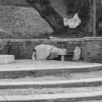Schwarz-Weiß: Das Bild zeigt eine Szene in einem Park, in der eine Person auf einer Bank unter einer Decke schläft. Die Bank befindet sich vor einer niedrigen Backsteinmauer, hinter der ein großer Baum steht. Auf der Mauer liegt eine weitere Decke oder ein Tuch. Es gibt einige Stufen, die zu der Bank führen. Im Hintergrund sind kahle Bäume und Laub zu sehen, was auf die Herbst- oder Winterzeit hindeutet. 