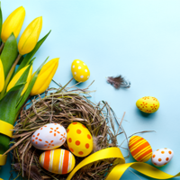 Auf einem hellblauen Hintergrund ist Osterdekoration zu sehen. Links unten in der Ecke sind gelbe Tulpen, ein kleines Vogelnest mit bemalten Eier in gelb, orange und weiß. Rechts oben in der Ecke sind gelbe Tulpen und bemalte Eier in gelb, orange und weiß.